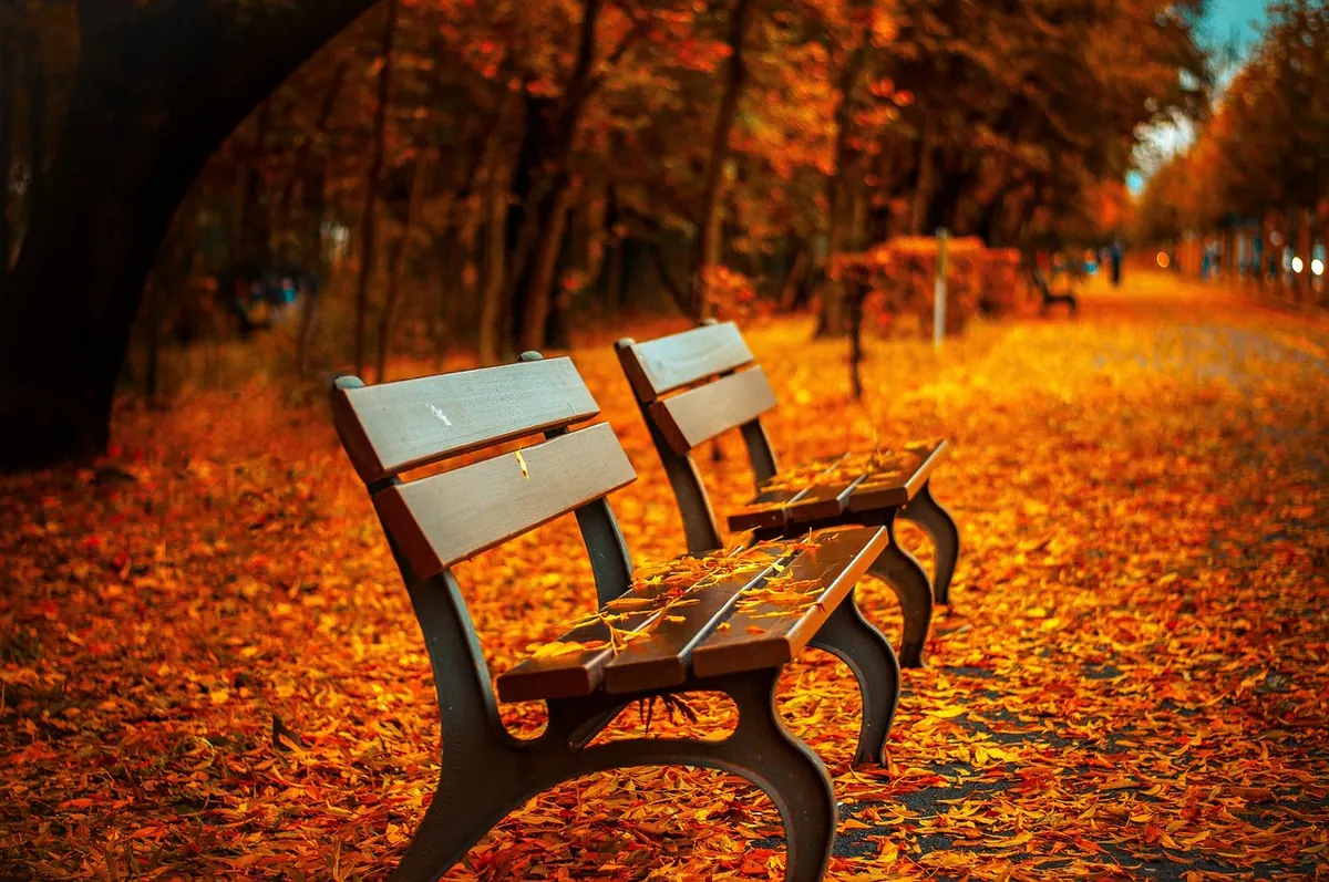 A Seasonal Reset: How to Use the Autumn Equinox to Review Your Goals